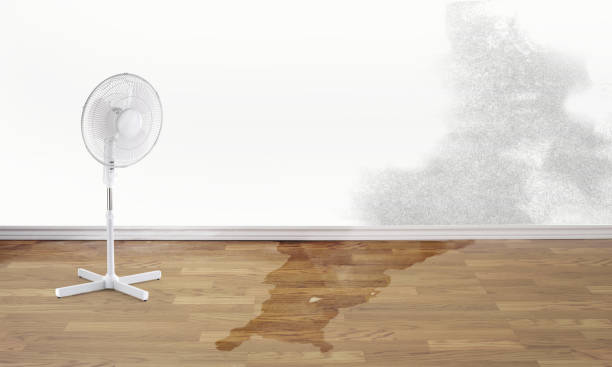 Best Water damage restoration near me  in Danvle, IL
