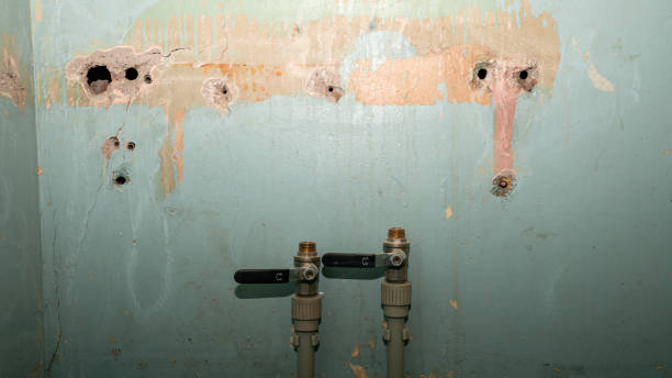 Best Water damage cleanup near me  in Danvle, IL