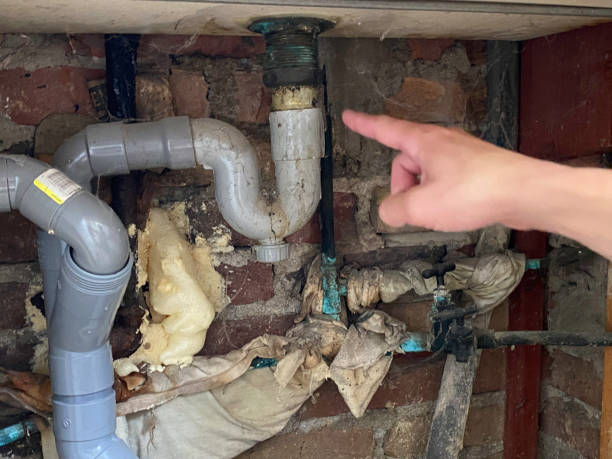 Best Water damage restoration near me  in Danvle, IL