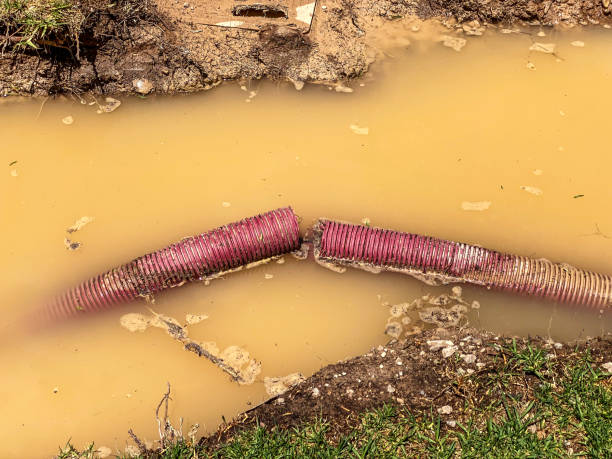 Best Flooded house restoration  in Danvle, IL